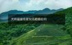 天秤座是伤官女吗婚姻如何