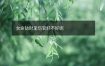 女命劫财见伤官好不好呢