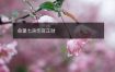 命里七杀伤官正财