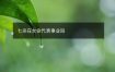 七杀在女命代表事业吗